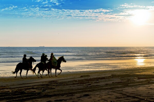 On the beach, black sand, free beach cabanas, sun-loungers