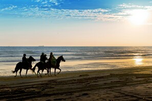 På stranden, svart sandstrand, gratis strandcabanor och solstolar