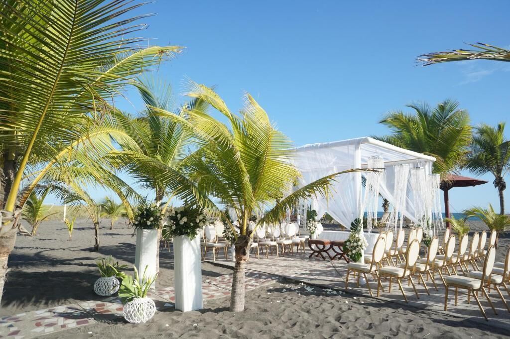 A beach wedding setup with white tents, chairs, and palm trees.