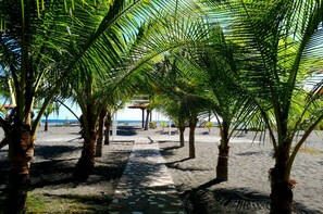 A pathway lined with palm trees leading to a beach. - Las Olas Resort (Guarumal)