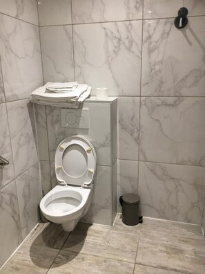 Free toiletries, hair dryer, towels