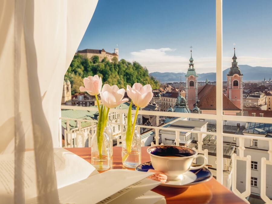 Vue depuis l’hébergement