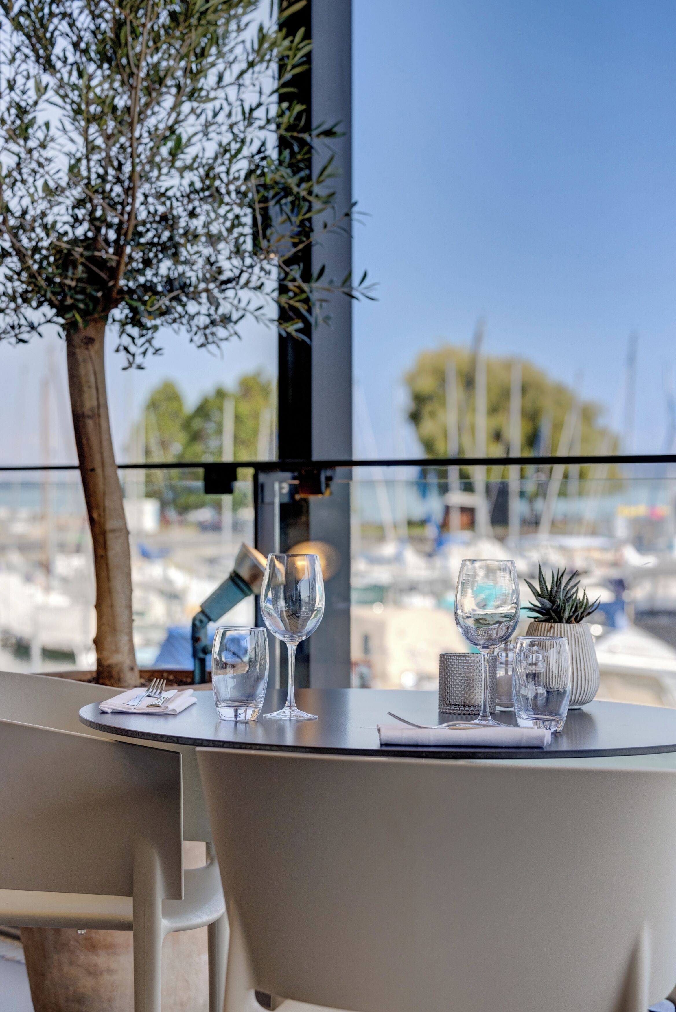 A table set for two with a view of boats and a tree.