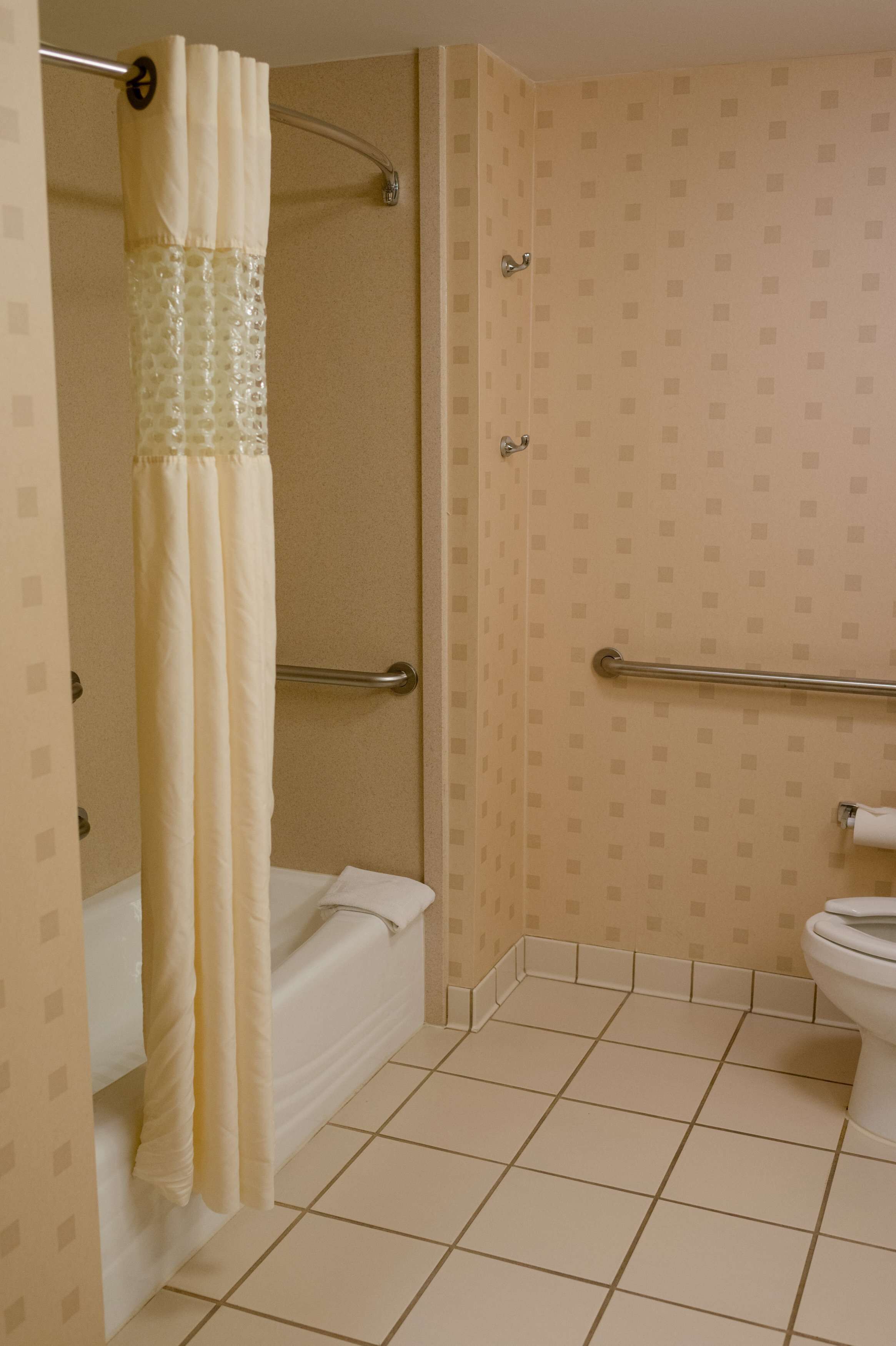 A bathroom with a shower, toilet, and grab bars.