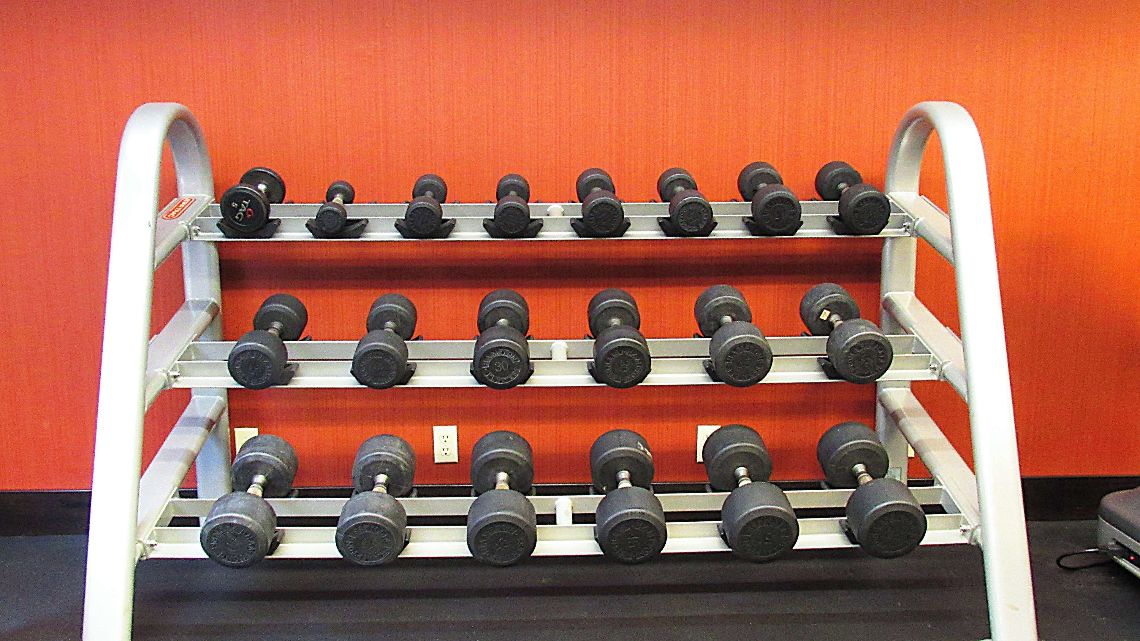 A rack of dumbbells against an orange wall.