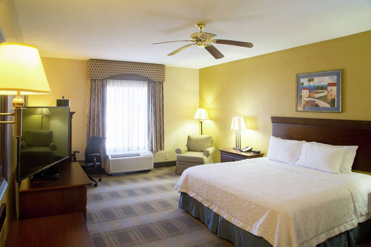 A hotel room with a bed, a desk, a television, a chair, a window with curtains, a ceiling fan, and a painting on the wall.