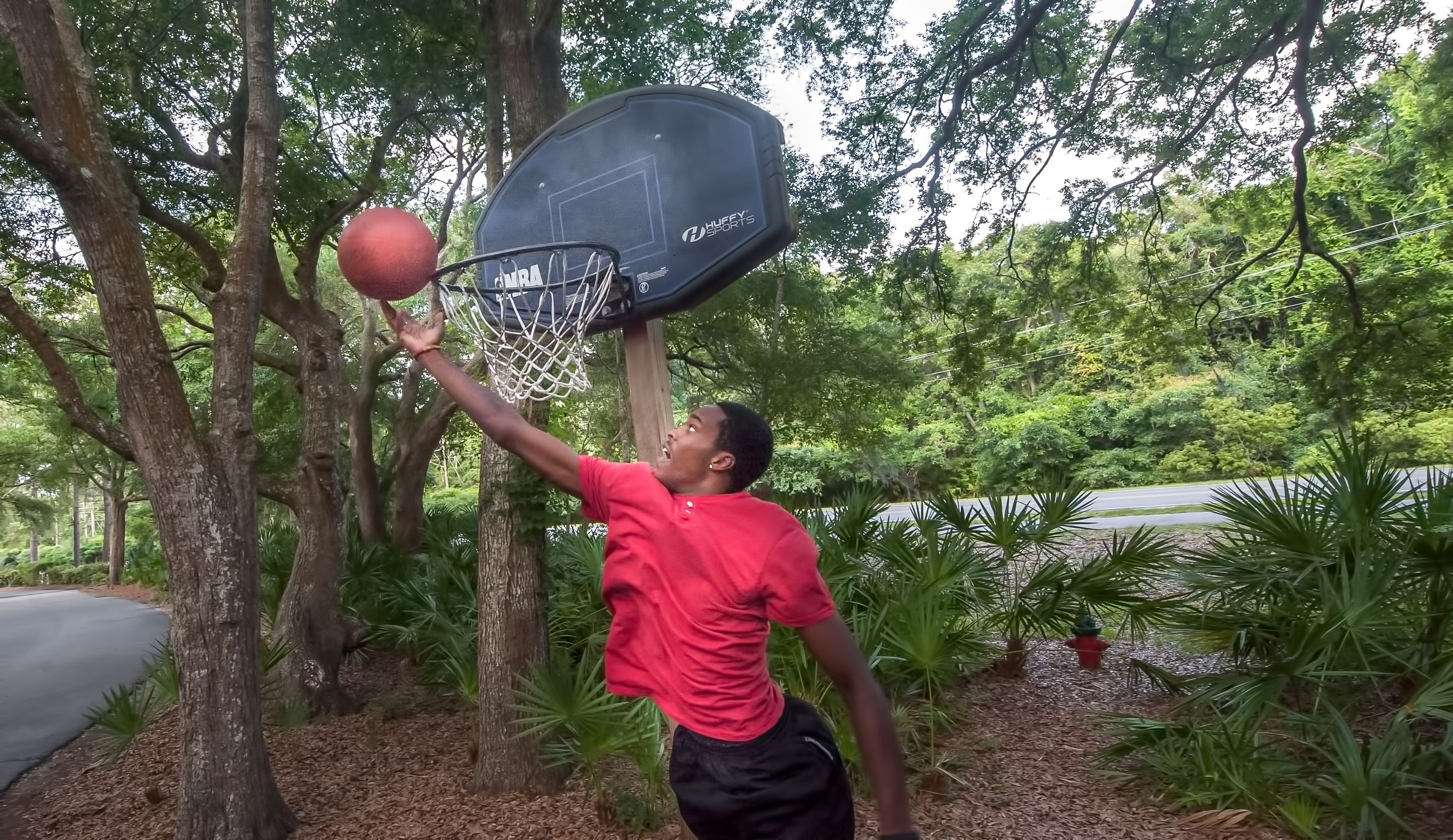 A basketball hoop in a park with trees and a road in the background.