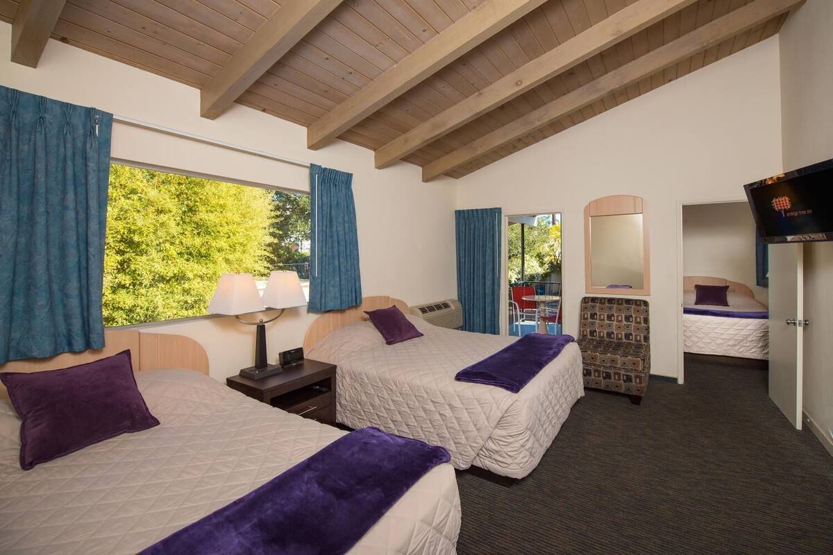 A room with two beds, a TV, a mirror, and a window with curtains.