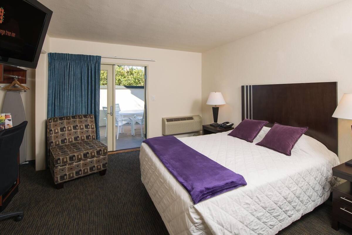 A hotel room with a bed, two bedside tables, a desk with a chair, a TV, and a sliding glass door to the outside.