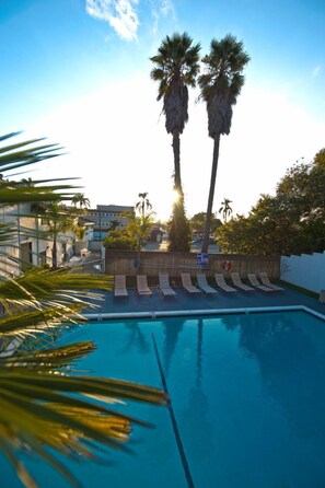 Outdoor pool, sun loungers