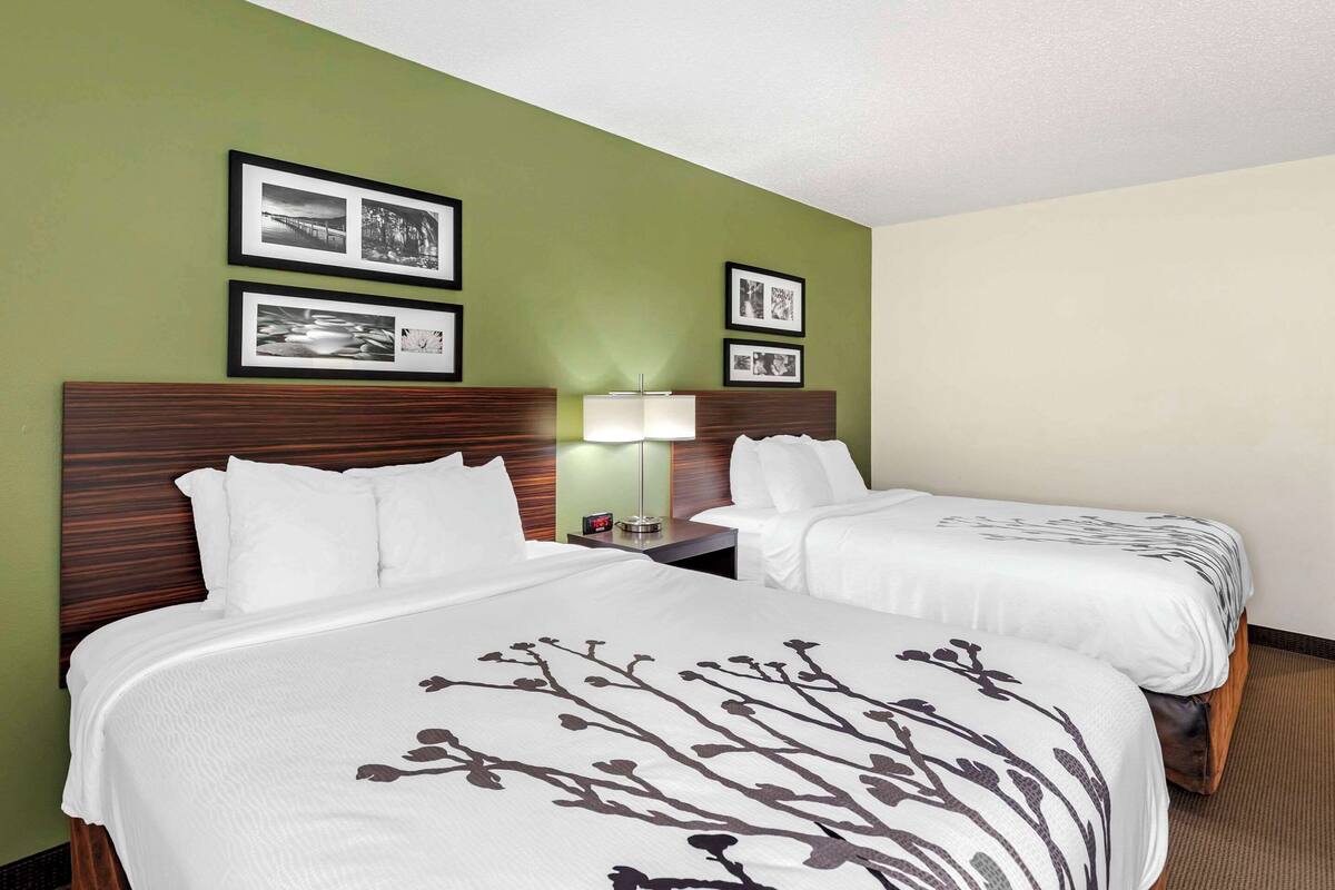 A hotel room with two beds, a nightstand with a lamp, and framed pictures on the wall.