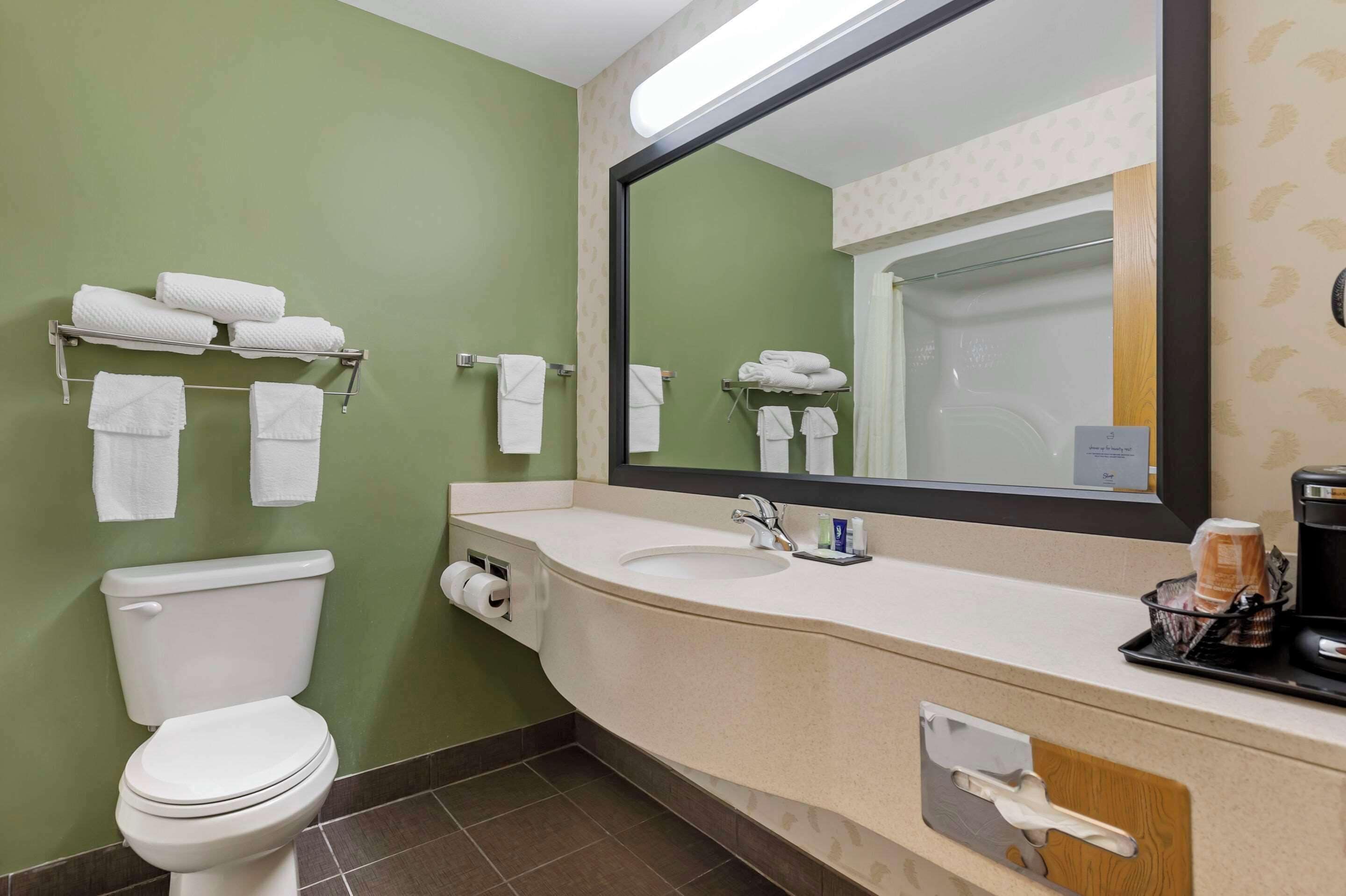 standard room, 1 king bed, non smoking | desk, laptop workspace, iron/ironing board, free wifi