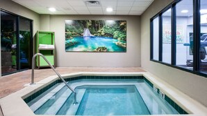 A hot tub with a waterfall mural, a metal ladder, and a tiled floor. - Wingate by Wyndham - Orlando International Airport (Orlando)