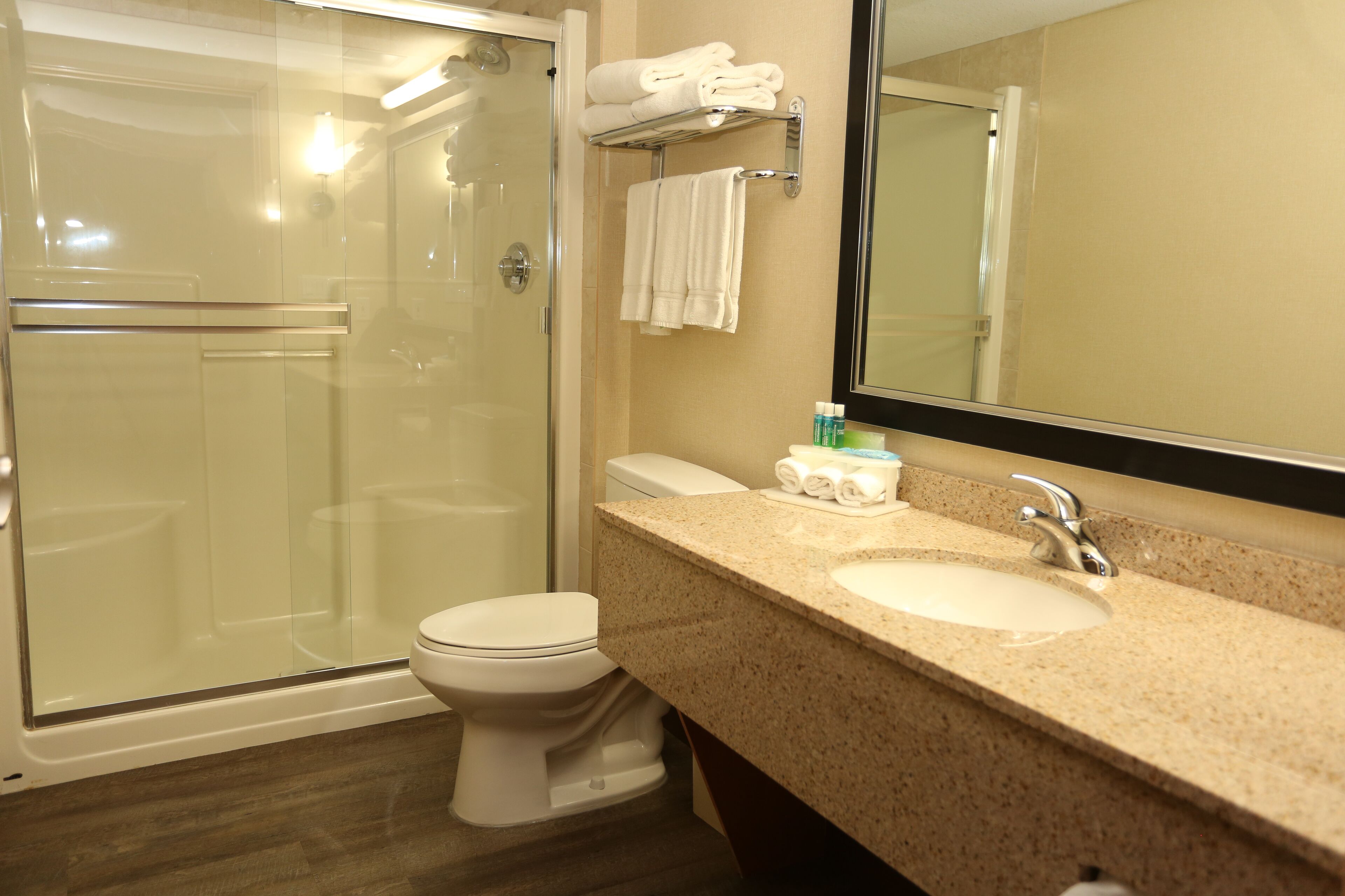 standard room, 1 king bed with sofa bed (wet bar) | bathroom | combined shower/bathtub, free toiletries, hair dryer, towels