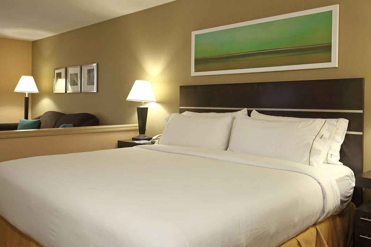 Standard Room, 1 King Bed with Sofa bed (Wet Bar) | Desk, iron/ironing board, cribs (free), WiFi (free)