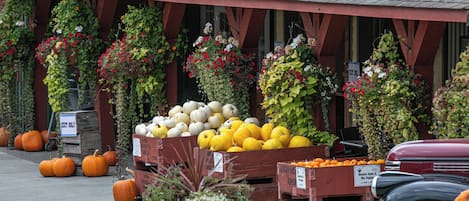 Una fachada de tienda con calabazas y zapallos exhibidos.