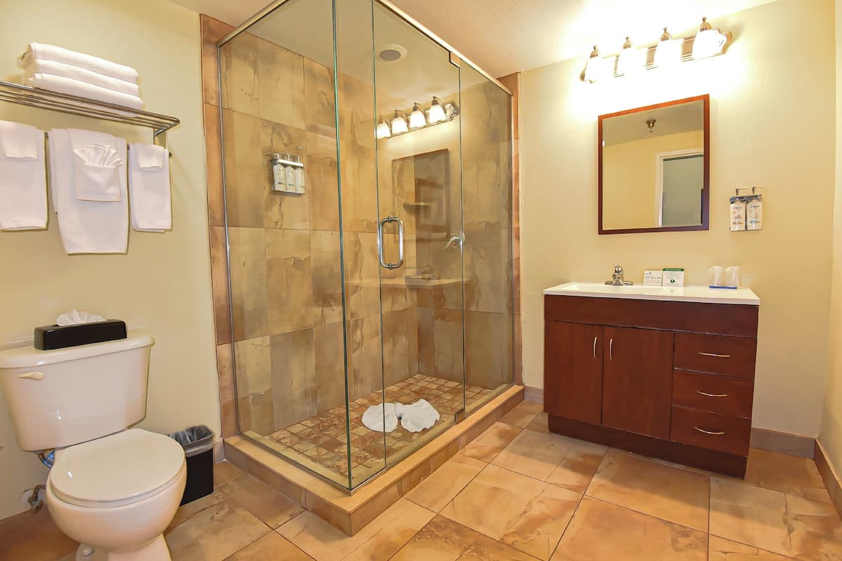 Suite, 1 Bedroom | Down comforters, desk, laptop workspace, blackout drapes