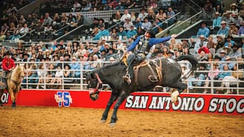 Un événement de rodéo où un cavalier, à cheval, effectue une figure acrobatique dans un stade.
