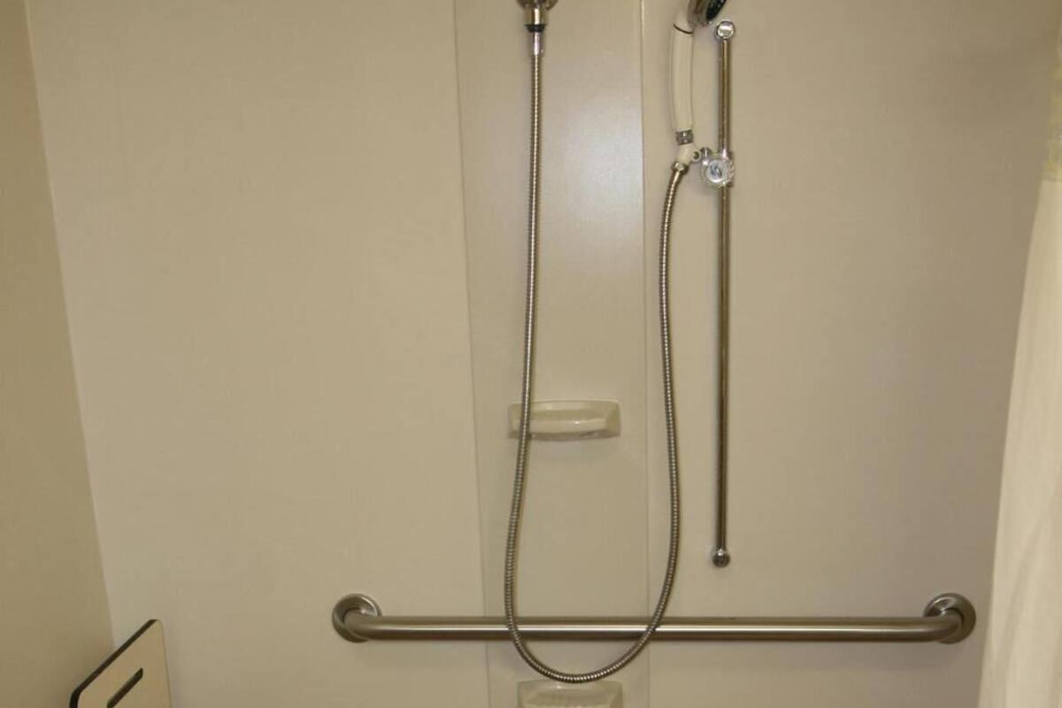 A shower with a handheld showerhead, a handheld faucet, and a grab bar.