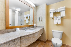Standard Room | Bathroom