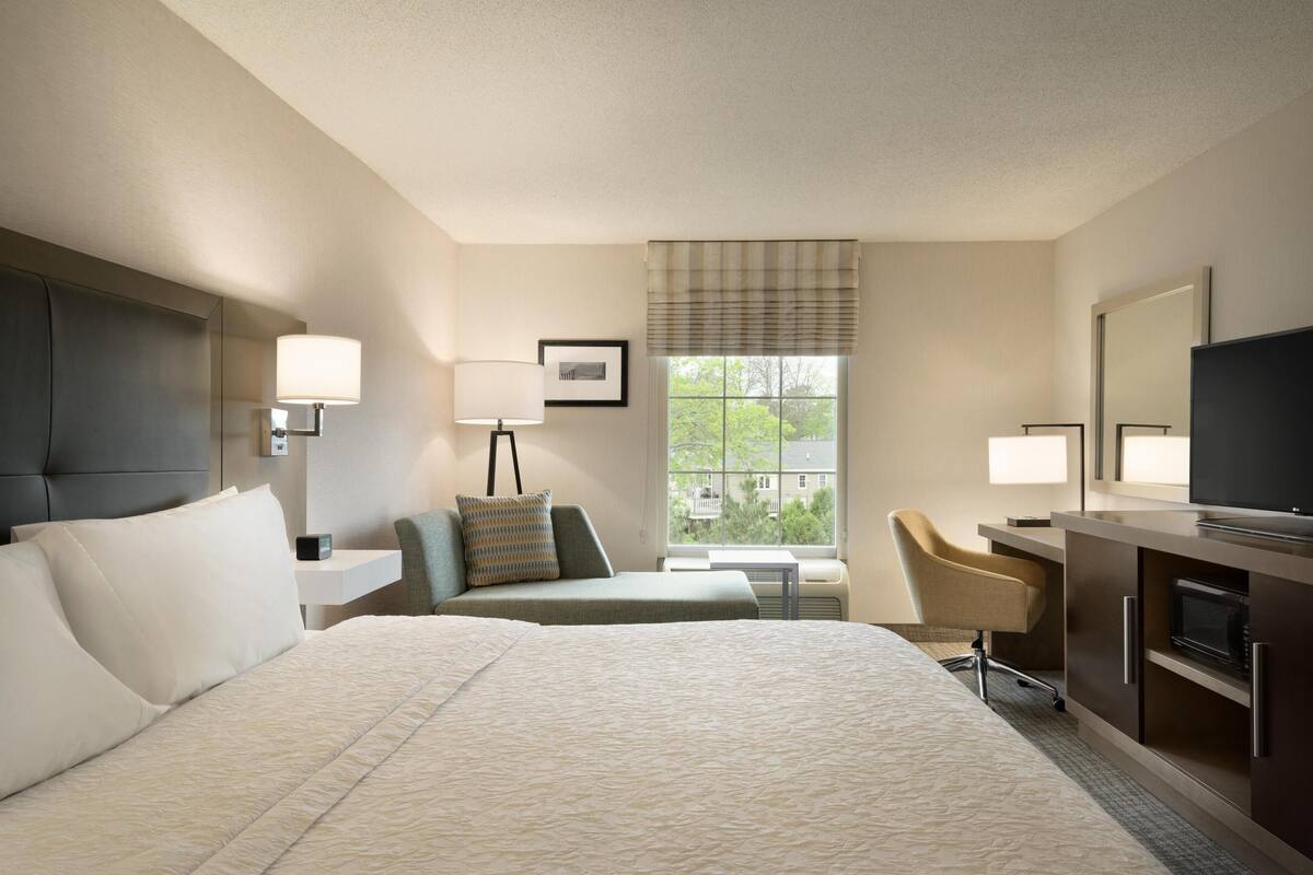 Habitación de hotel con una cama grande, un escritorio con silla, televisión y ventana con vistas a zonas verdes.