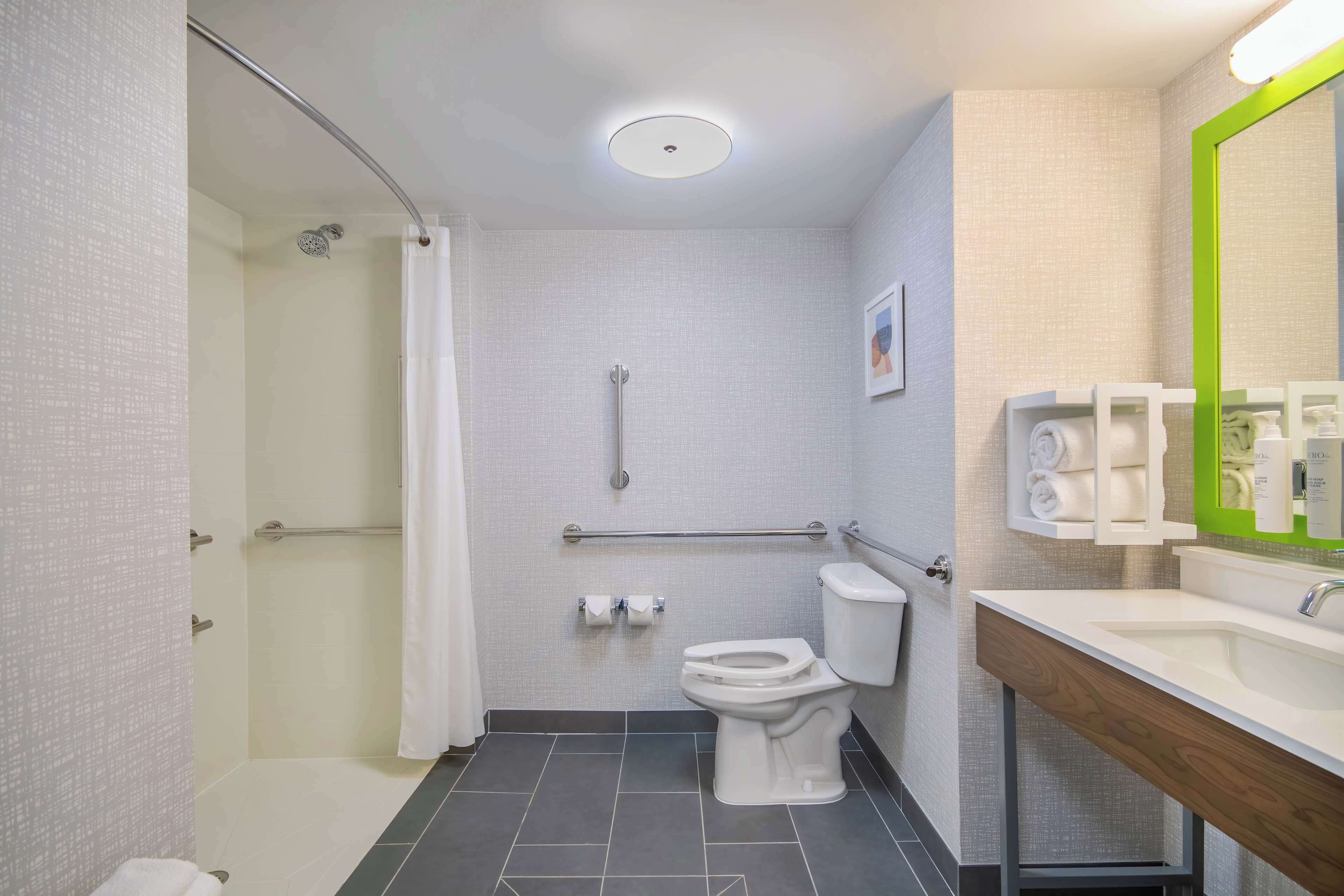 room, 1 king bed, accessible (roll-in shower) | bathroom | free toiletries, hair dryer, towels
