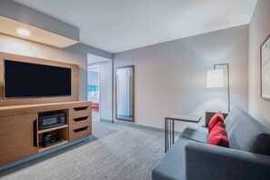 55-英寸纯平电视 (配备有线频道)、电视