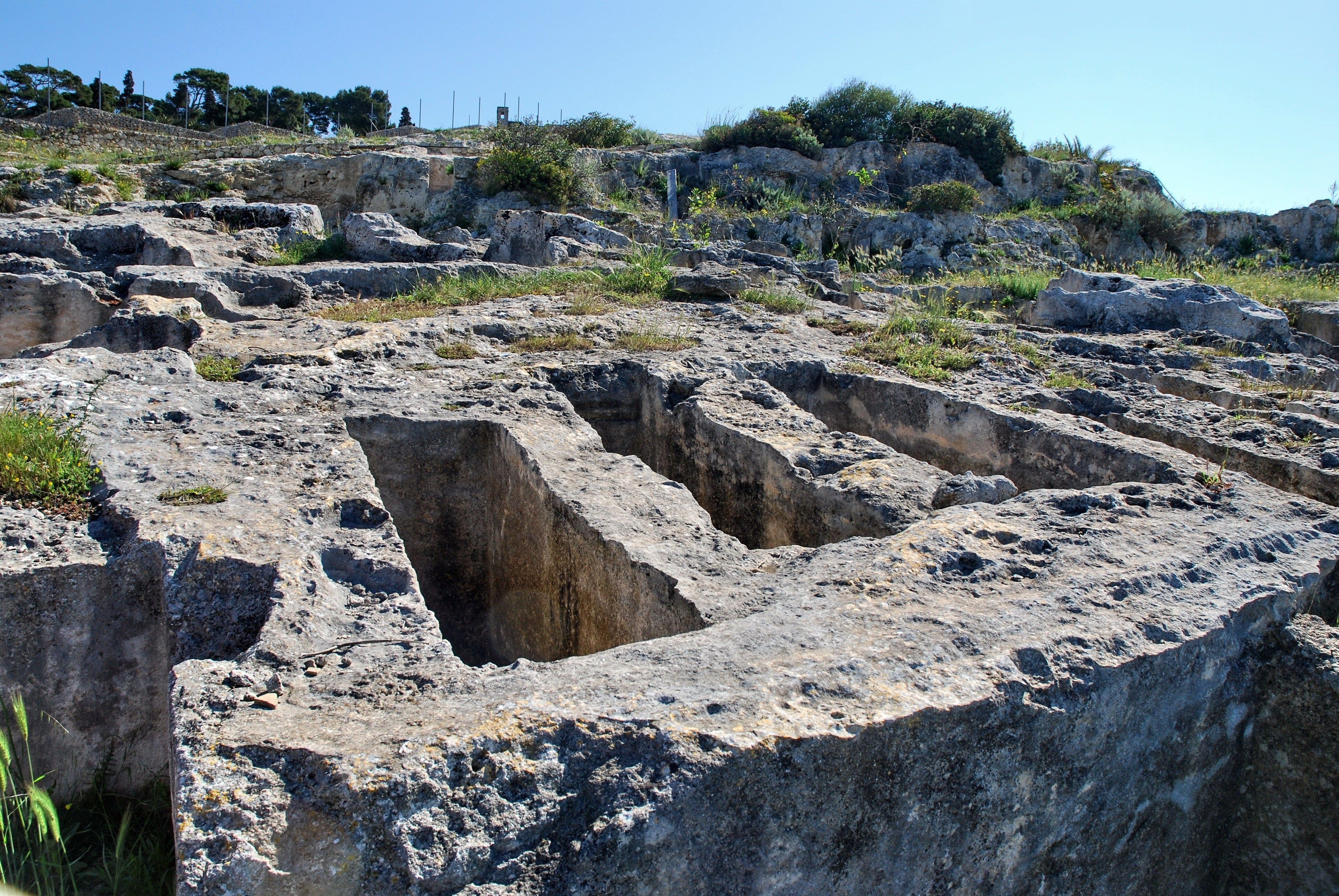 Un site archéologique rocheux, caractérisé par d’anciennes constructions en pierre et une végétation luxuriante.