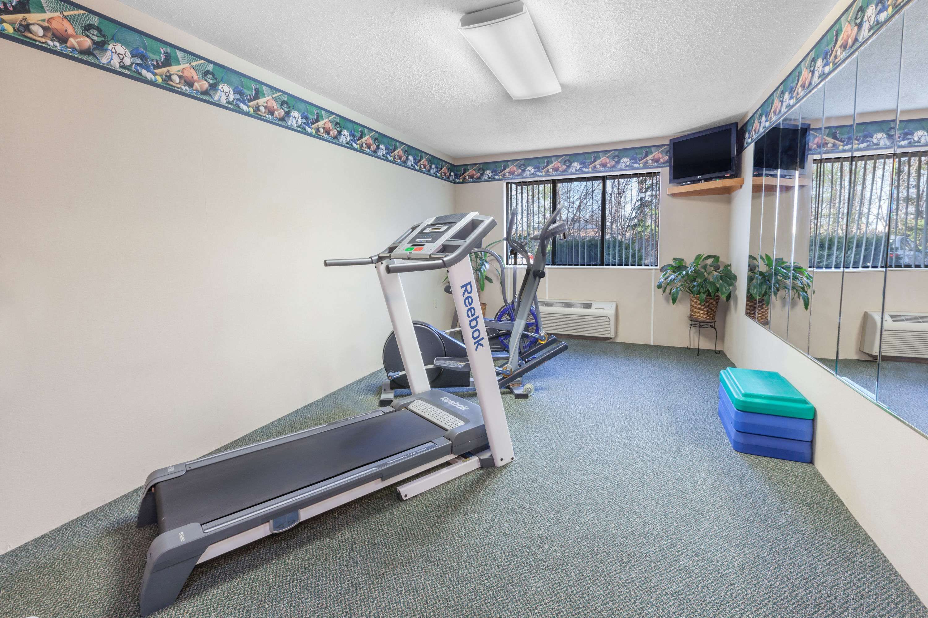 A gym with a treadmill, a stationary bike, and a small bench.