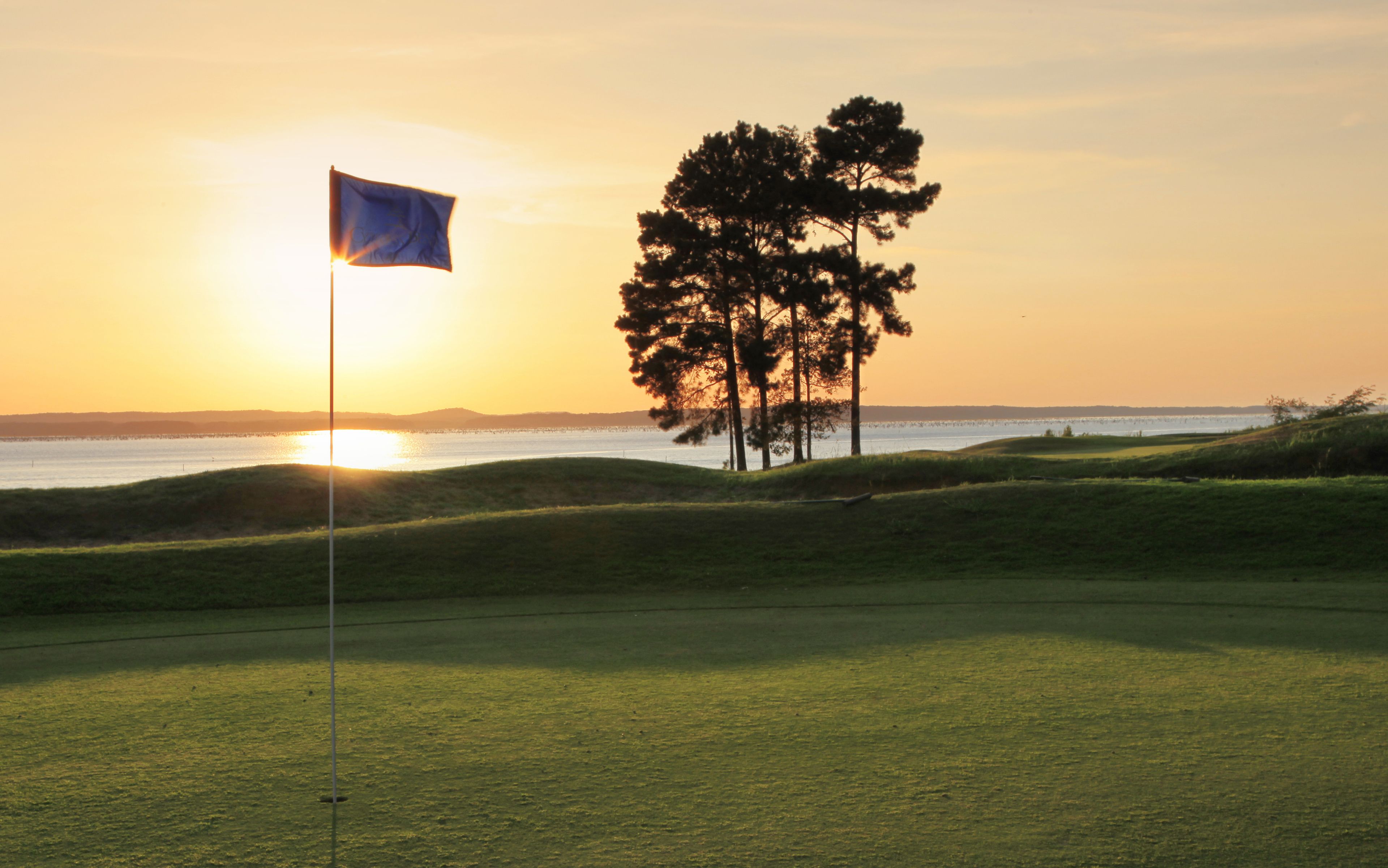 Un campo de golf con un mástil de bandera, un árbol grande y un atardecer al fondo.