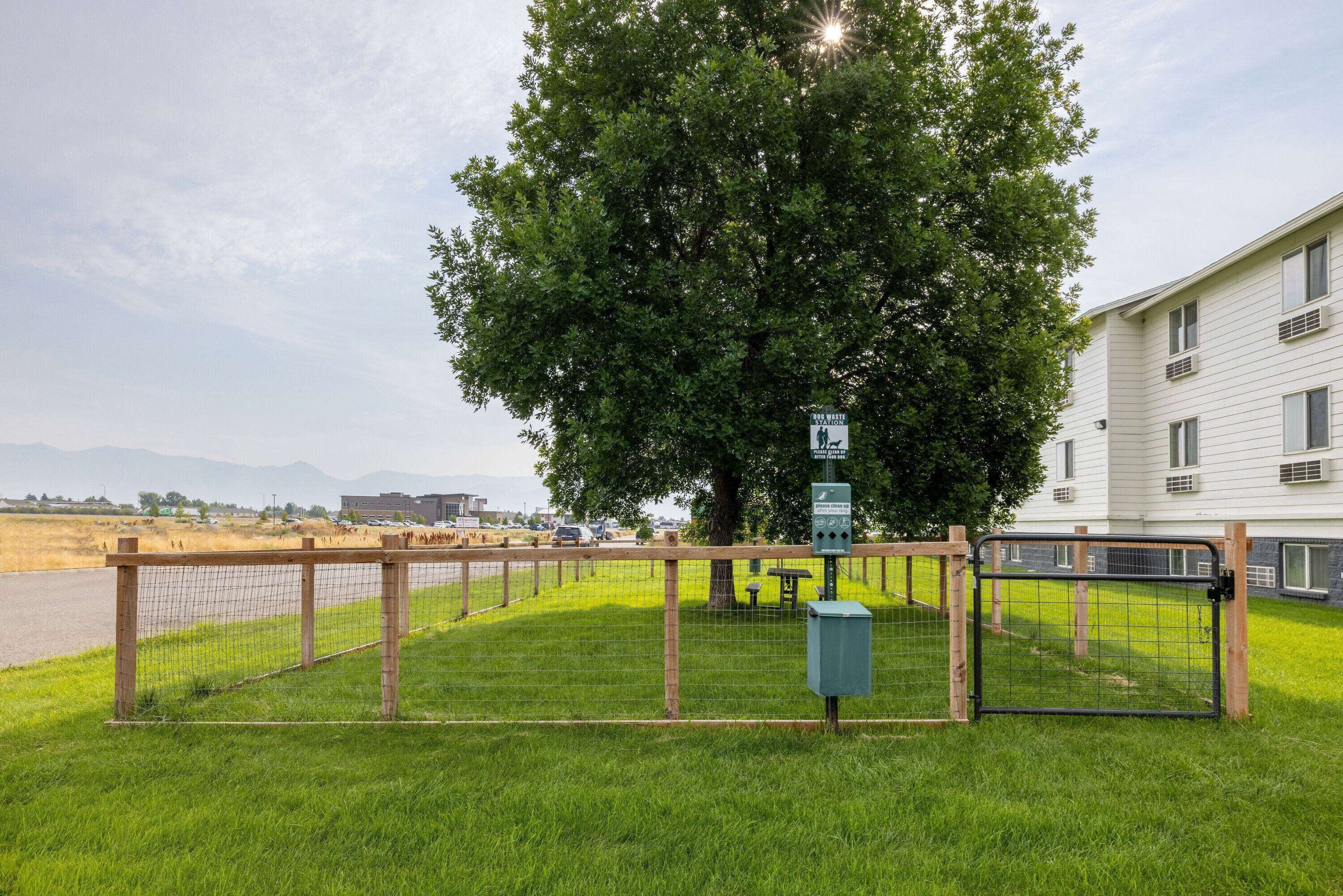 A fenced outdoor area with a large tree, a building, and a gate.