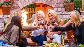 Un groupe de personnes trinquant avec des verres de vin autour d’une cheminée en briques où brûle un feu, le tout étant agrémenté de plantes en pot.
