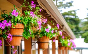 Hanging flower planters with vibrant flowers and green foliage. - Candle Light Inn (Carmel)