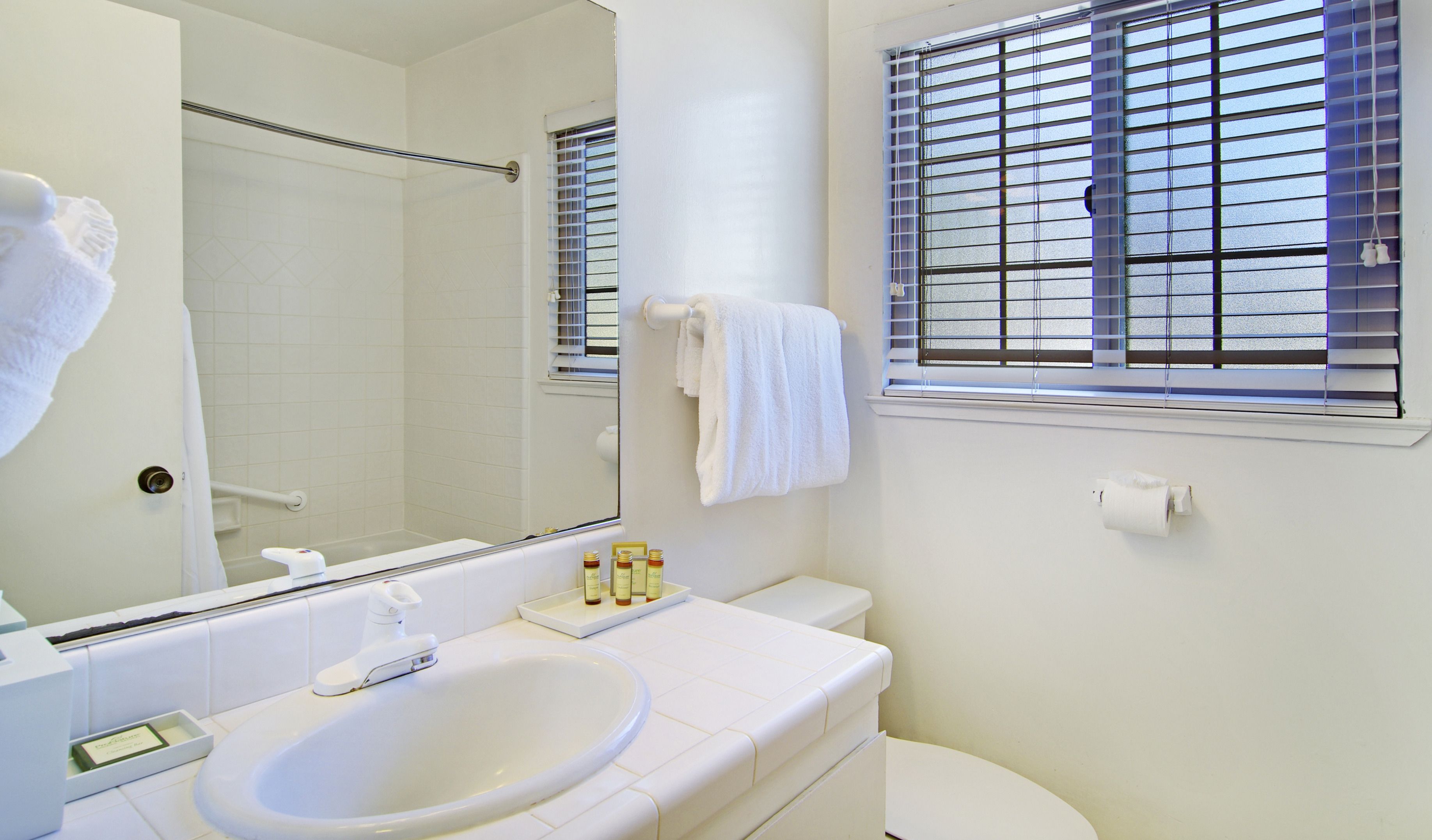 deluxe suite, 1 king bed, kitchen (pet friendly) | hypo-allergenic bedding, desk, iron/ironing board, free wifi