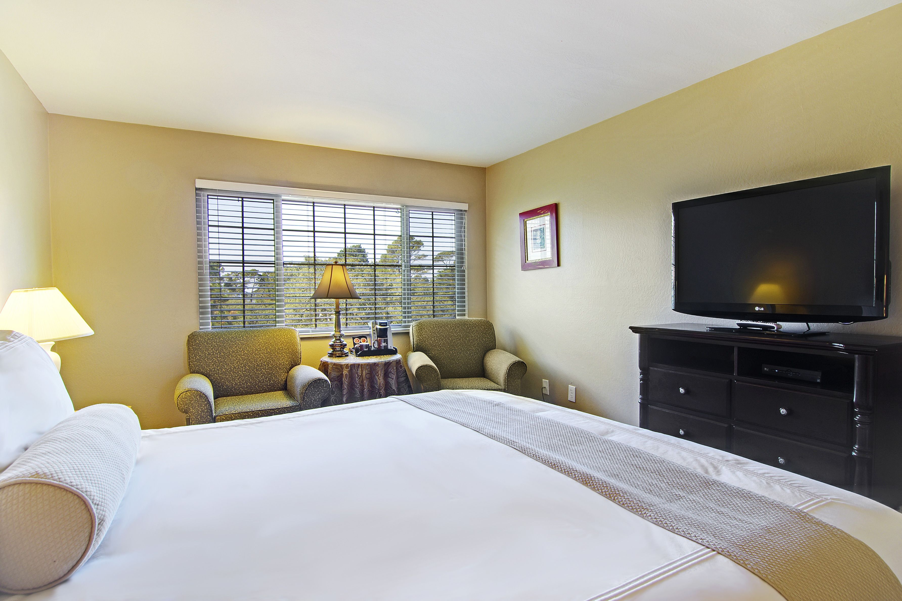 economy room, 1 queen bed (non pet-friendly) | hypo-allergenic bedding, desk, iron/ironing board, free wifi
