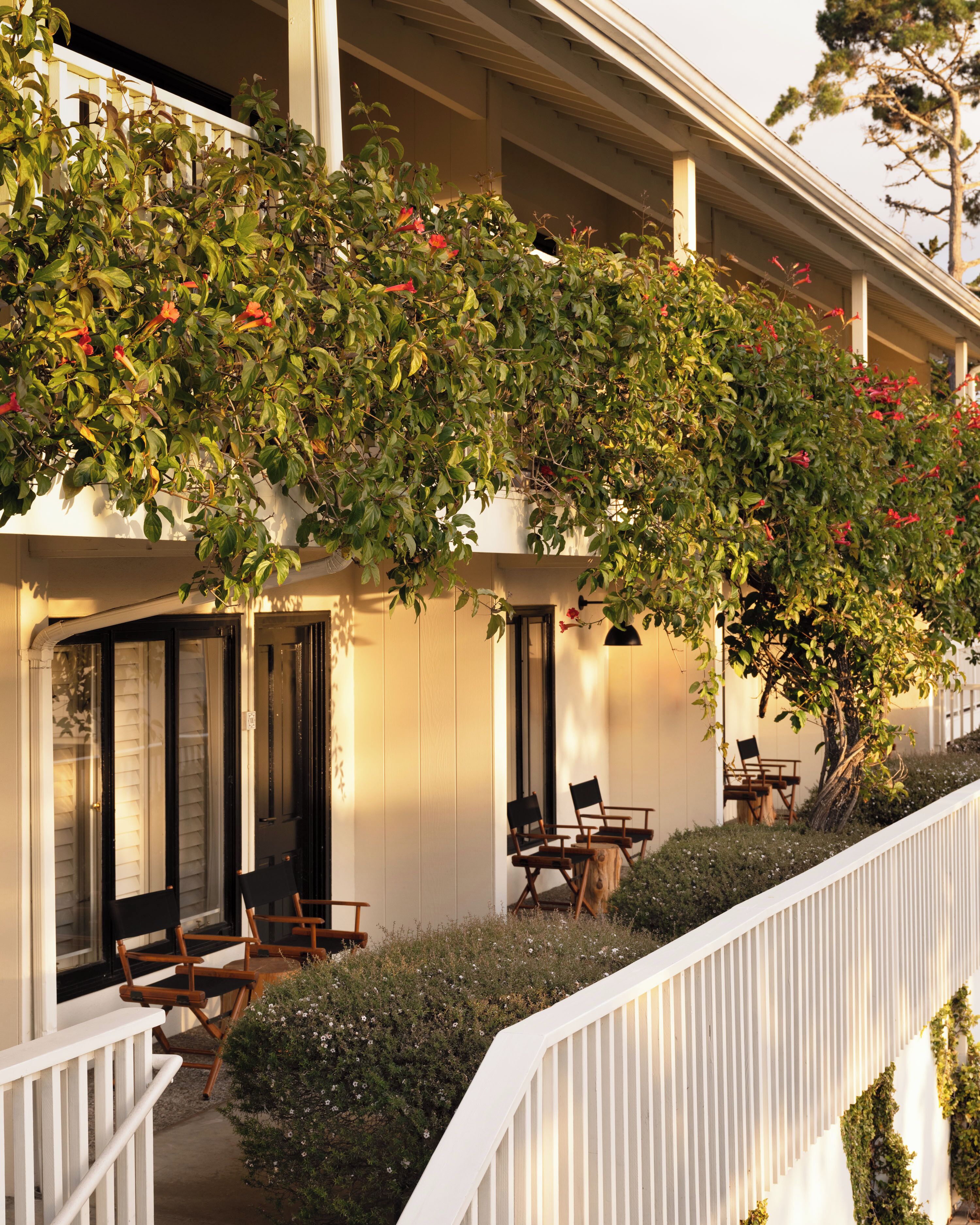 A hotel with a covered outdoor seating area, a white railing, and a tree with red flowers.