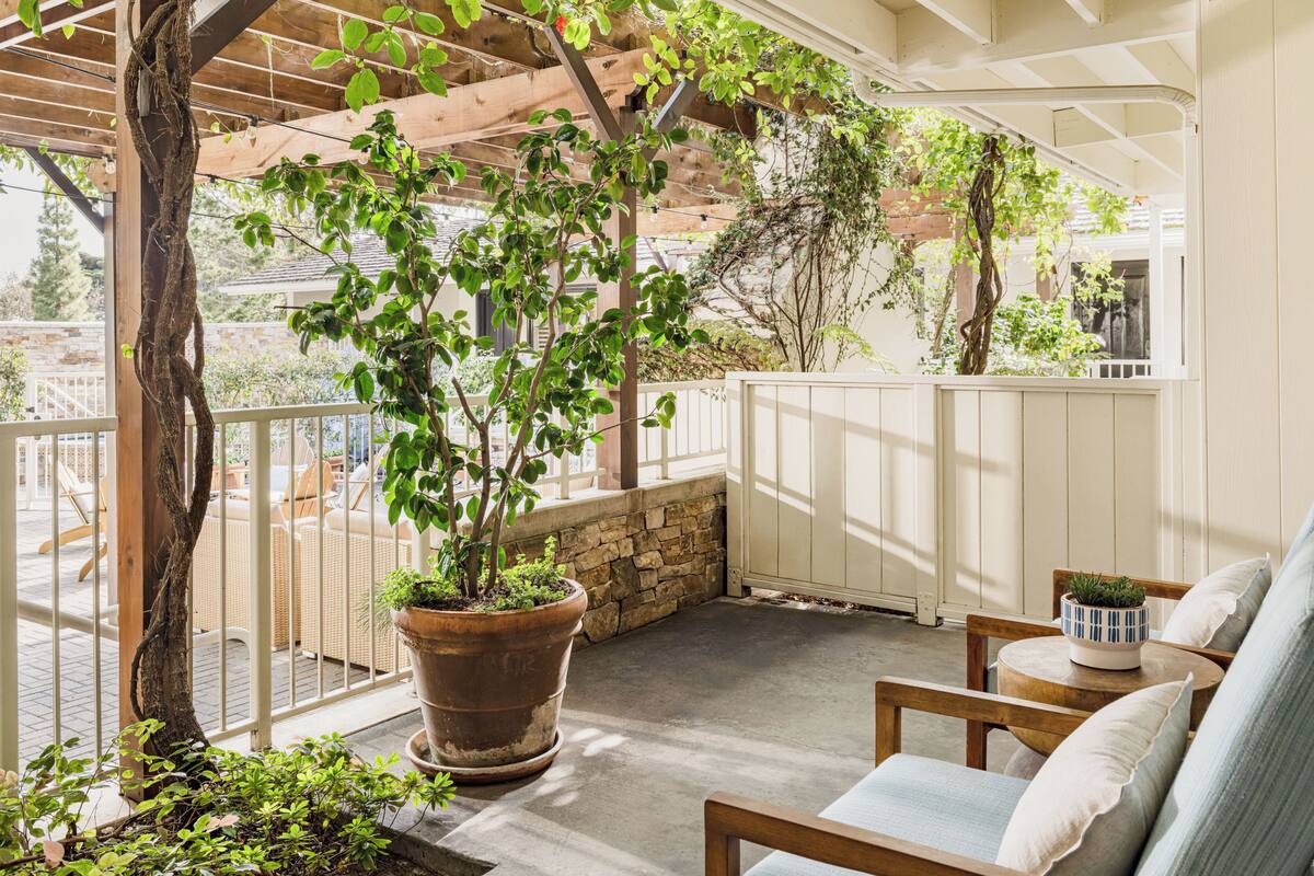 Un espace extérieur abrité avec des sièges, comprenant un banc en bois, une plante en pot et un mur en pierre.