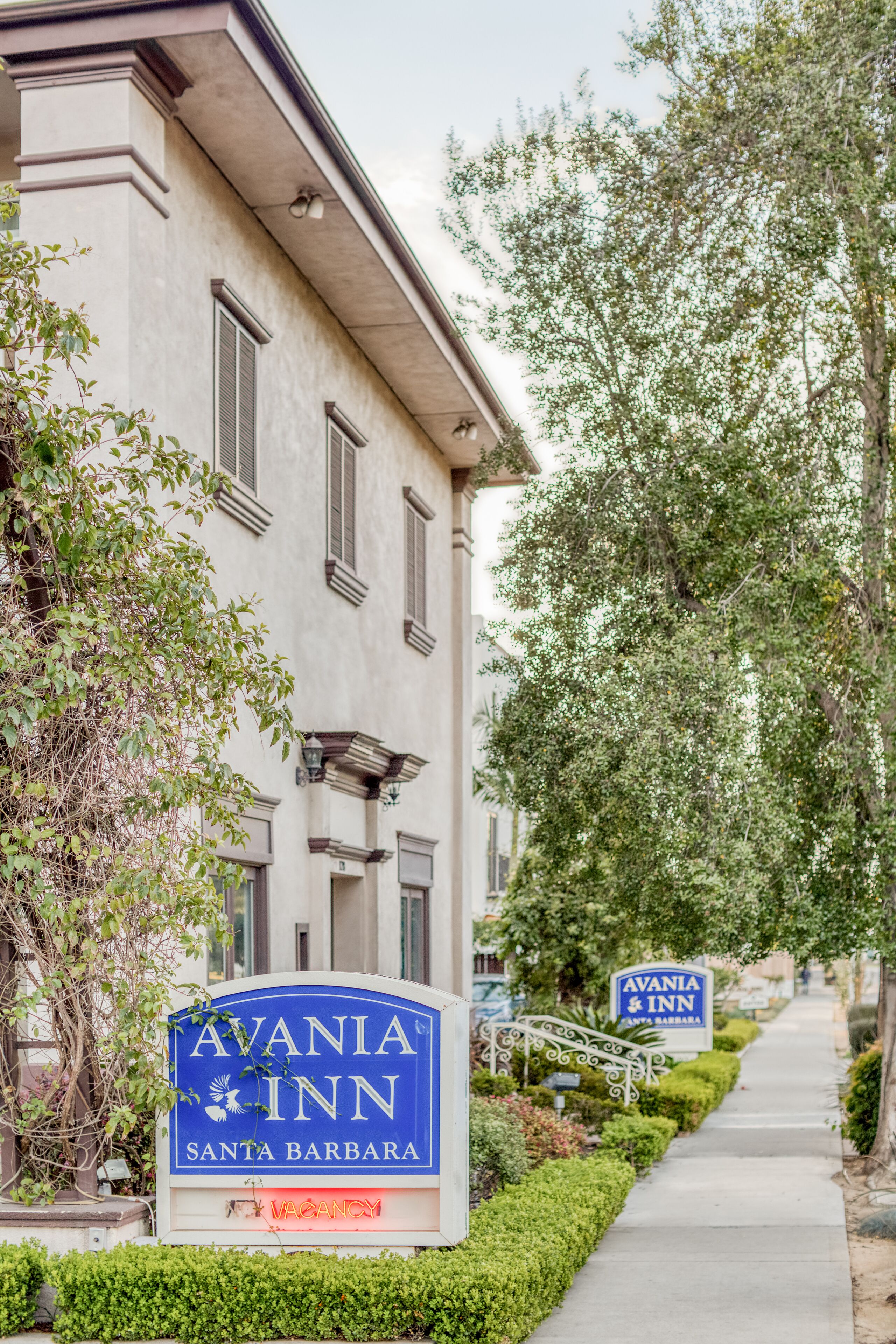 En byggnad med en skylt som visar namnet Avania Inn i Santa Barbara, med en klassisk arkitektonisk stil, en vacker gångväg och välväxta träd.
