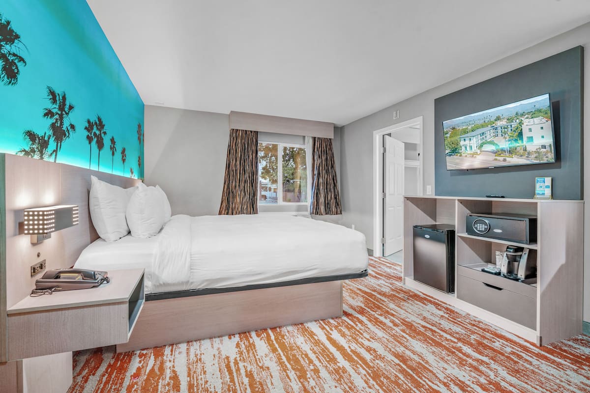 Room, 1 King Bed, Accessible | Desk, laptop workspace, blackout drapes, iron/ironing board