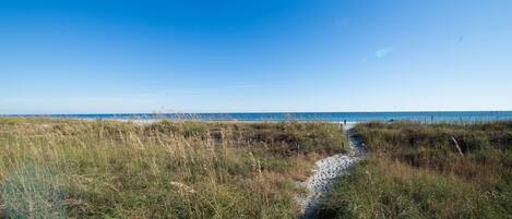 A coastal path leading to the sea with grassy terrain and clear skies.