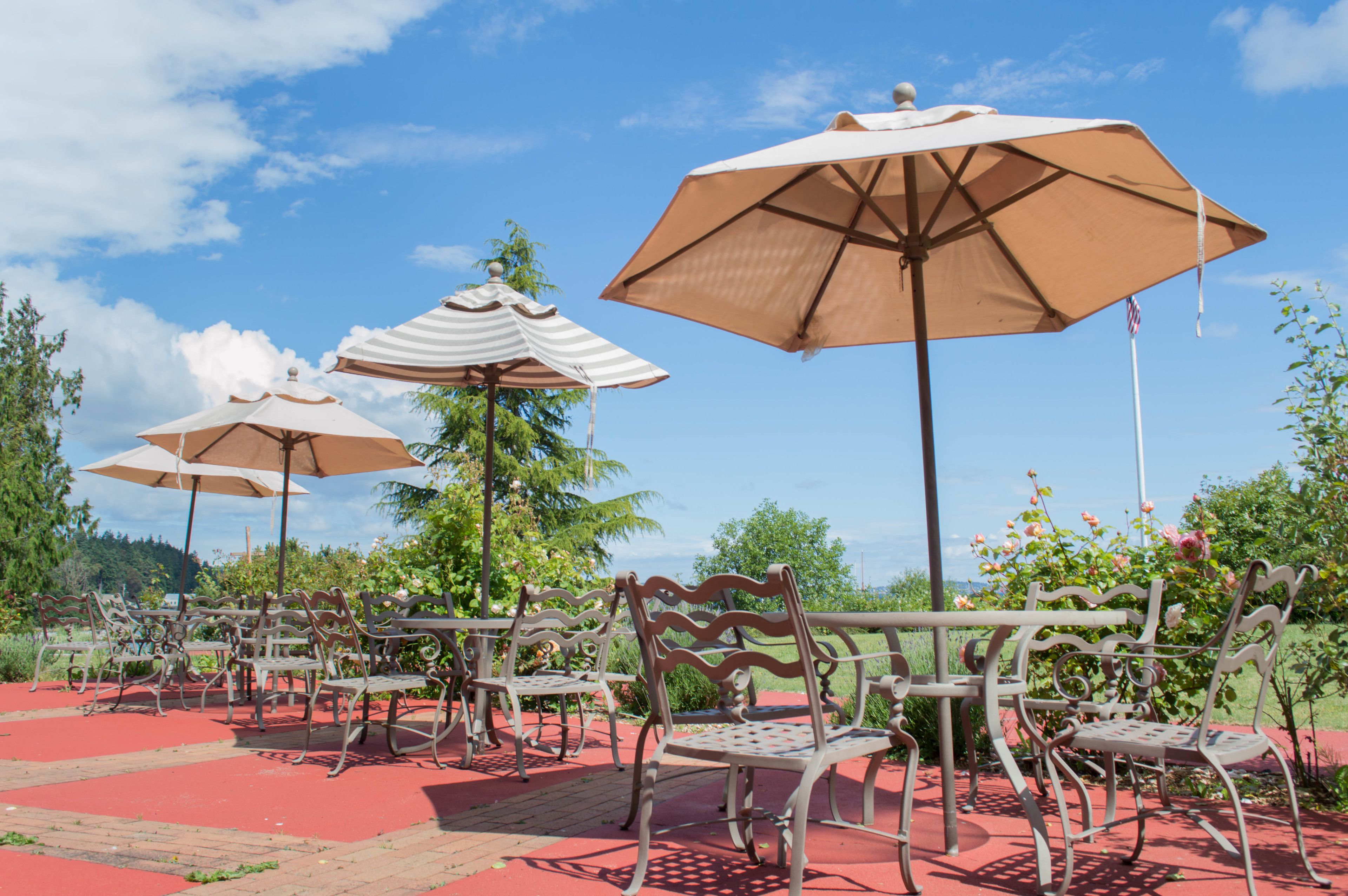 lunch and dinner served, local cuisine