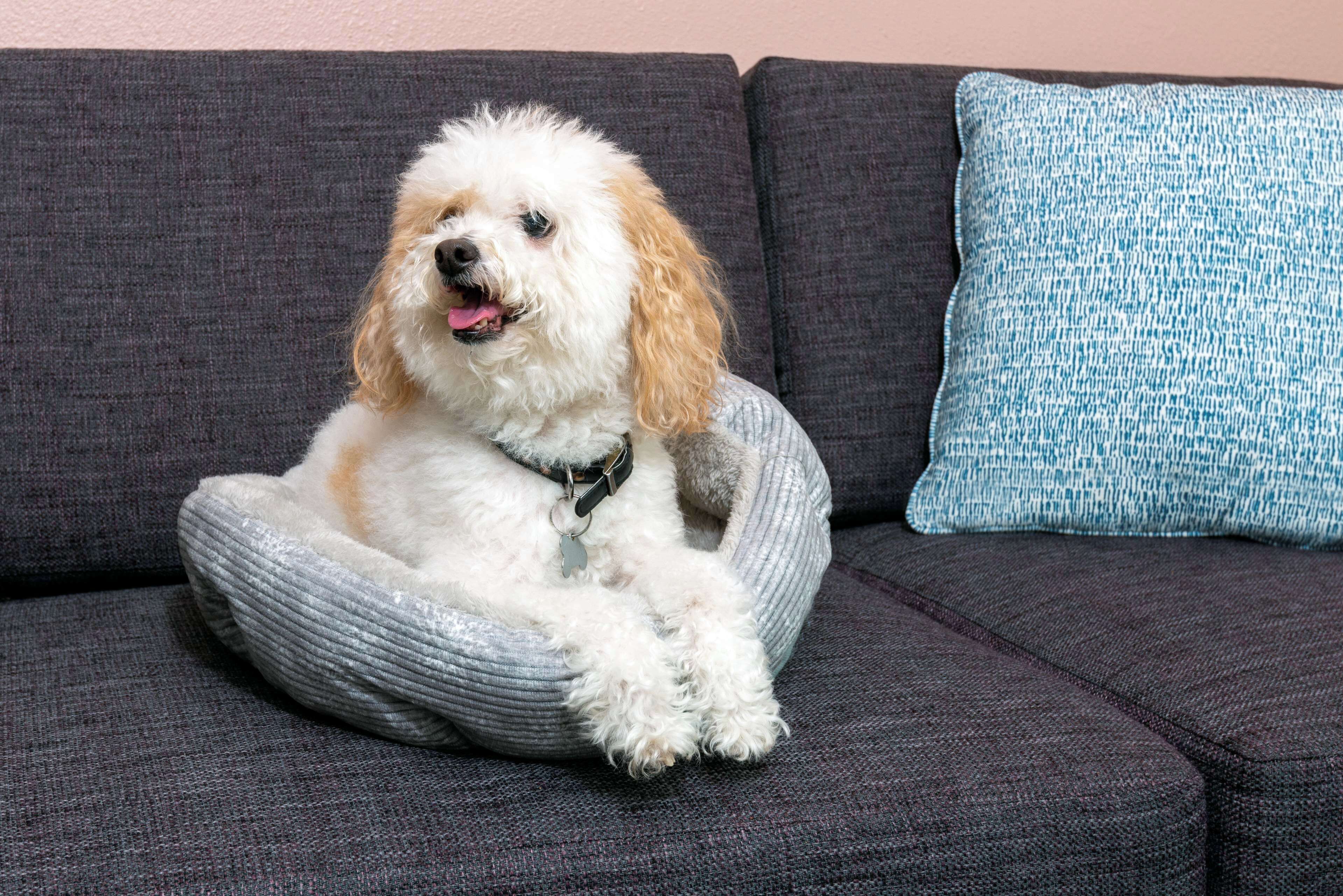 in-room safe, desk, iron/ironing board, cots/infant beds