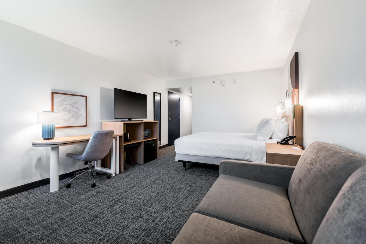 A hotel room with a bed, a desk with a chair, a television, a bookshelf, and a sofa.