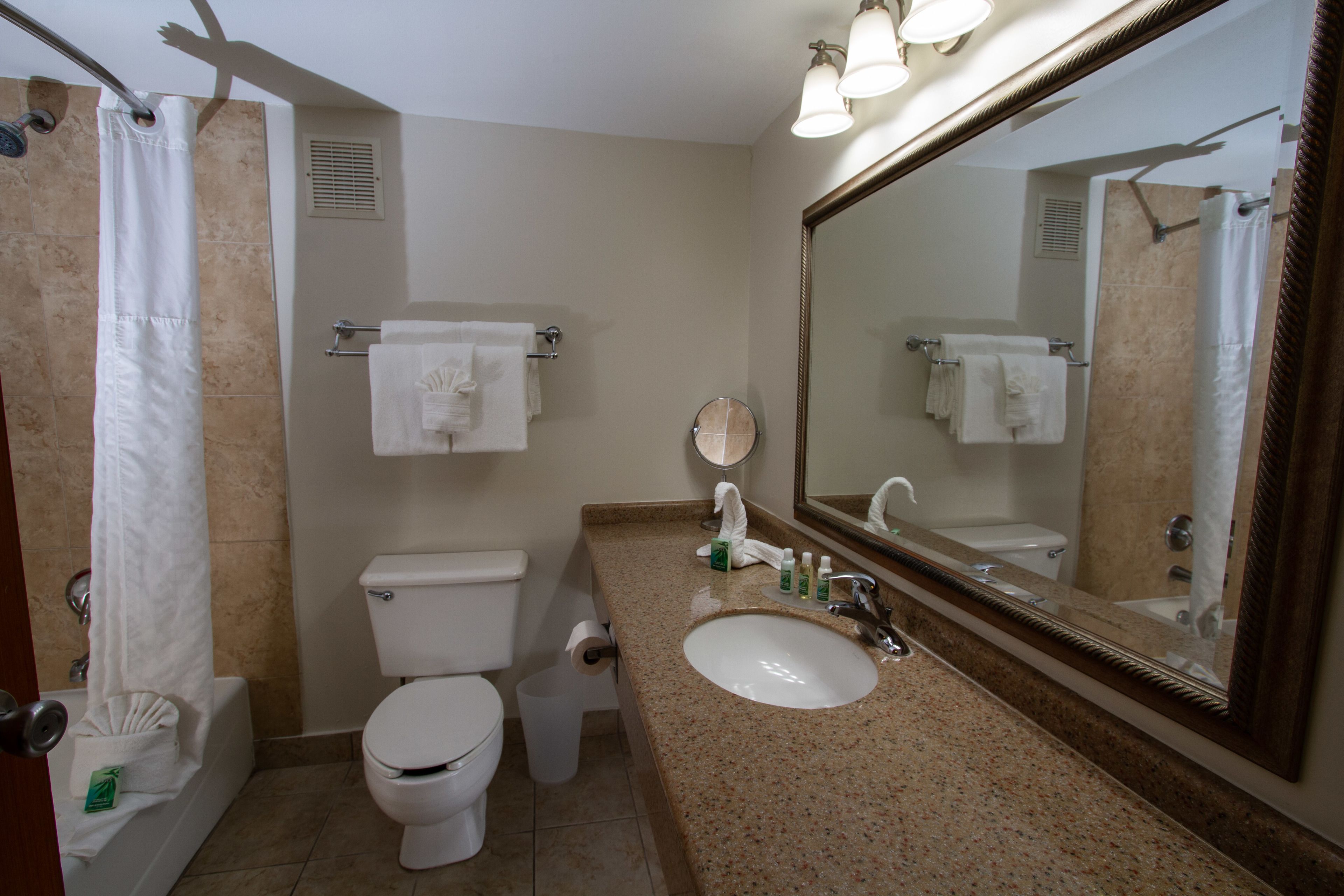 deluxe double room, 2 double beds, pool view | bathroom | combined shower/bathtub, deep-soaking bathtub, free toiletries