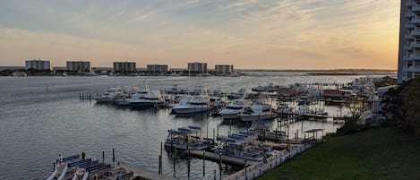 A marina with boats docked, a dockside area with a car and a trailer, and a high-rise building in the background.