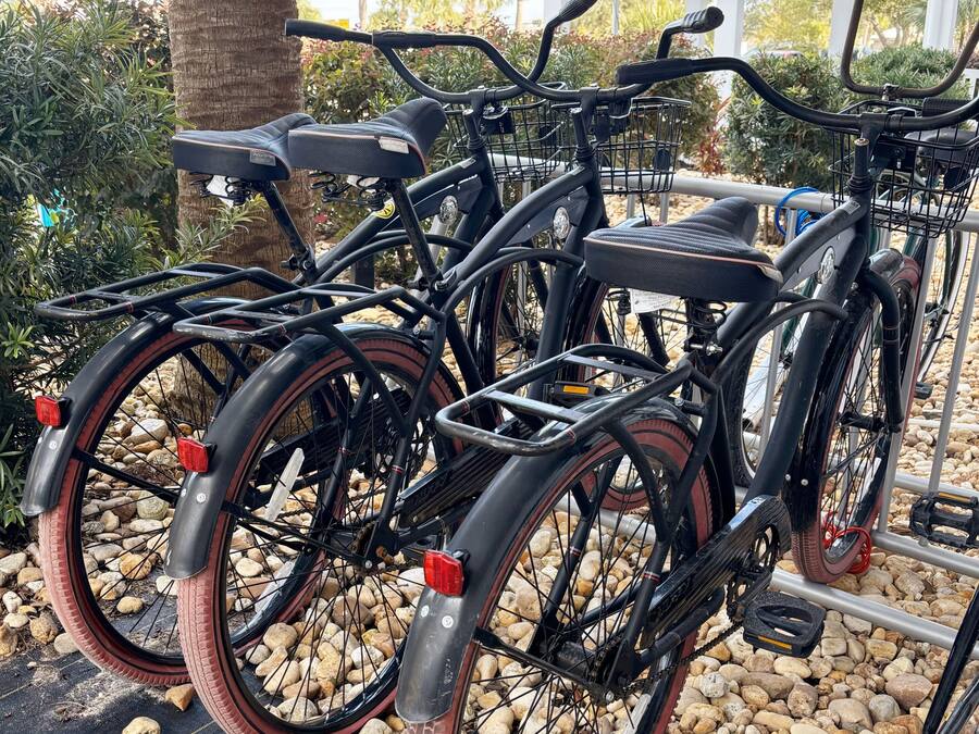 Fila di biciclette parcheggiate su fondo ghiaioso, con una palma e una struttura bianca sullo sfondo.