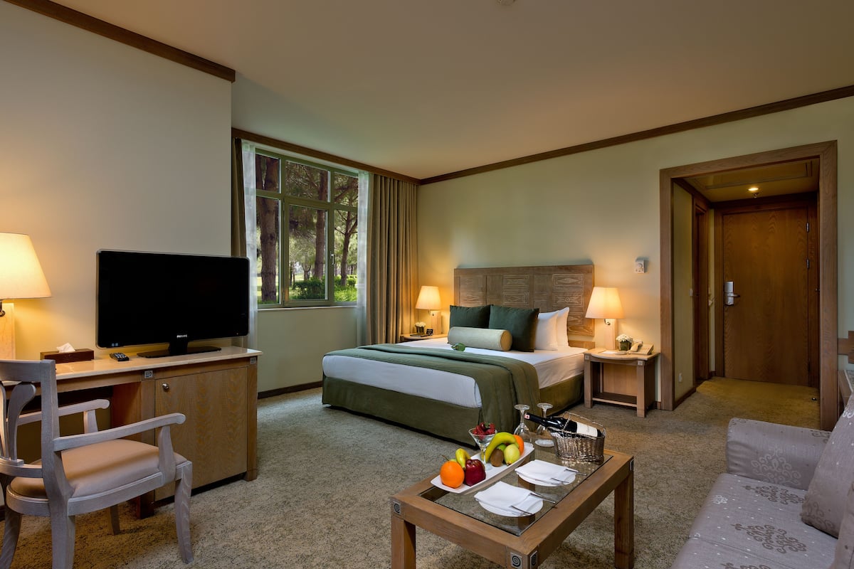 Quarto de hotel com cama, escrivaninha, televisão e mesa de jantar com fruta.