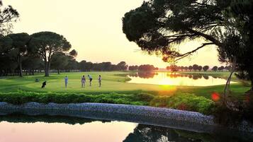Golfers can enjoy a serene round on the well-maintained green, surrounded by trees and a tranquil lake.