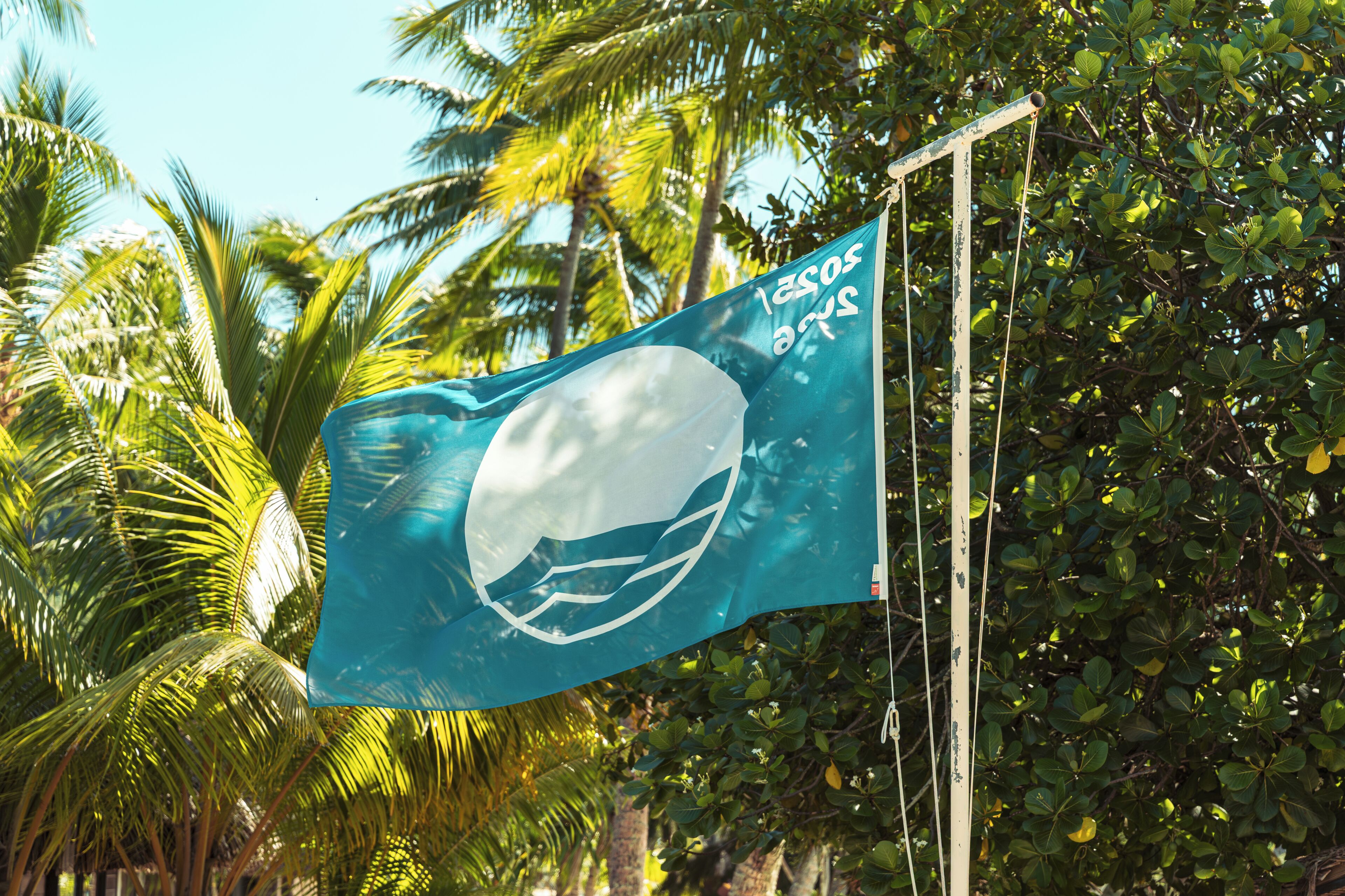 Foto - Maitai Bora Bora