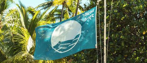 Una bandera con una ballena blanca y fondo azul, sujeta a un asta.